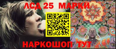 шишки Славгород