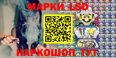 шишки Славгород