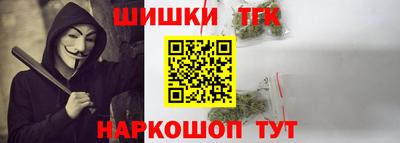 шишки Славгород