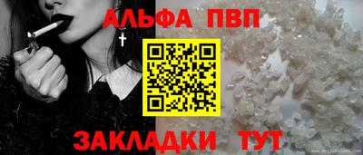 шишки Славгород