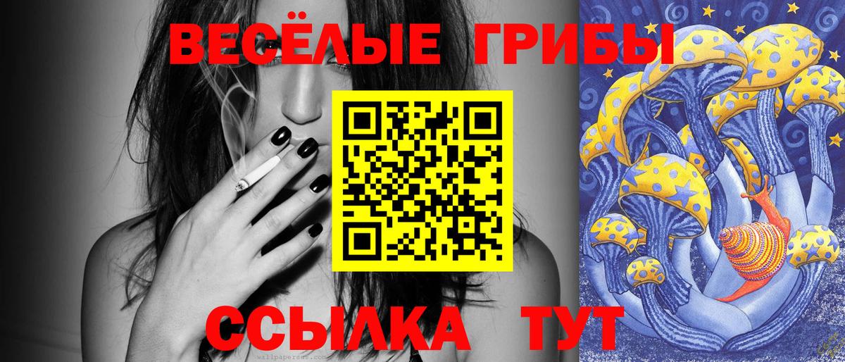 как найти наркотики  Галлюциногенные грибы мицелий  Ногинск  Вход с VPN  Галлюциногенные грибы мухоморы 