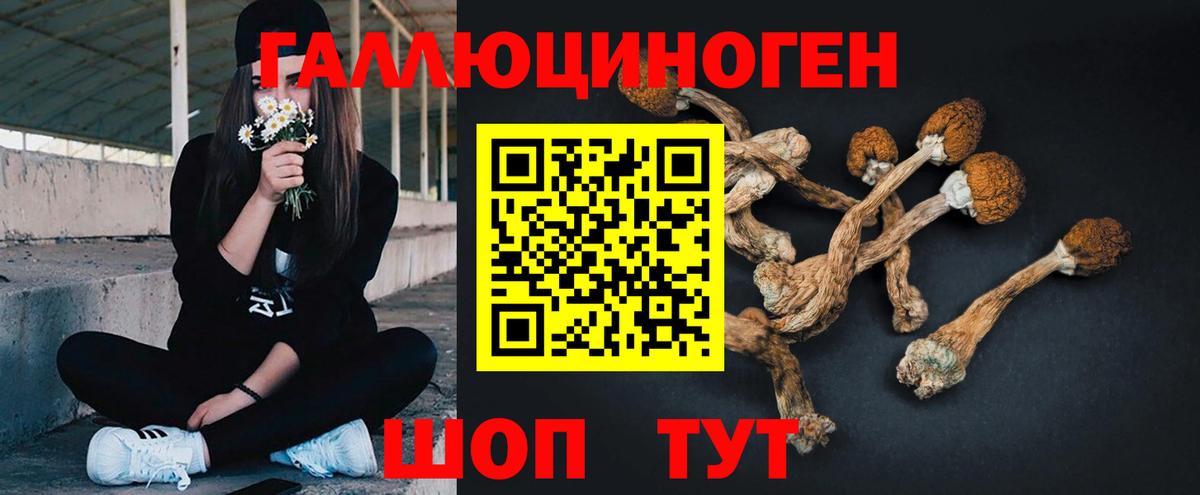 Галлюциногенные грибы Magic Shrooms Ногинск